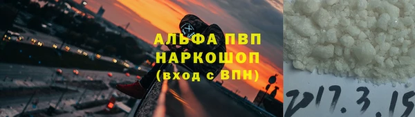 СК Алзамай