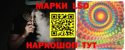 шишки Лесосибирск