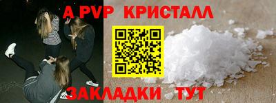 шишки Лесосибирск