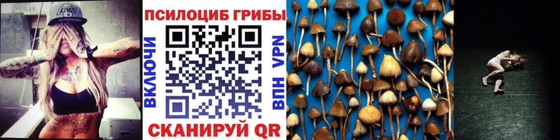 OMG ТОР  Куйбышев  Галлюциногенные грибы мицелий 